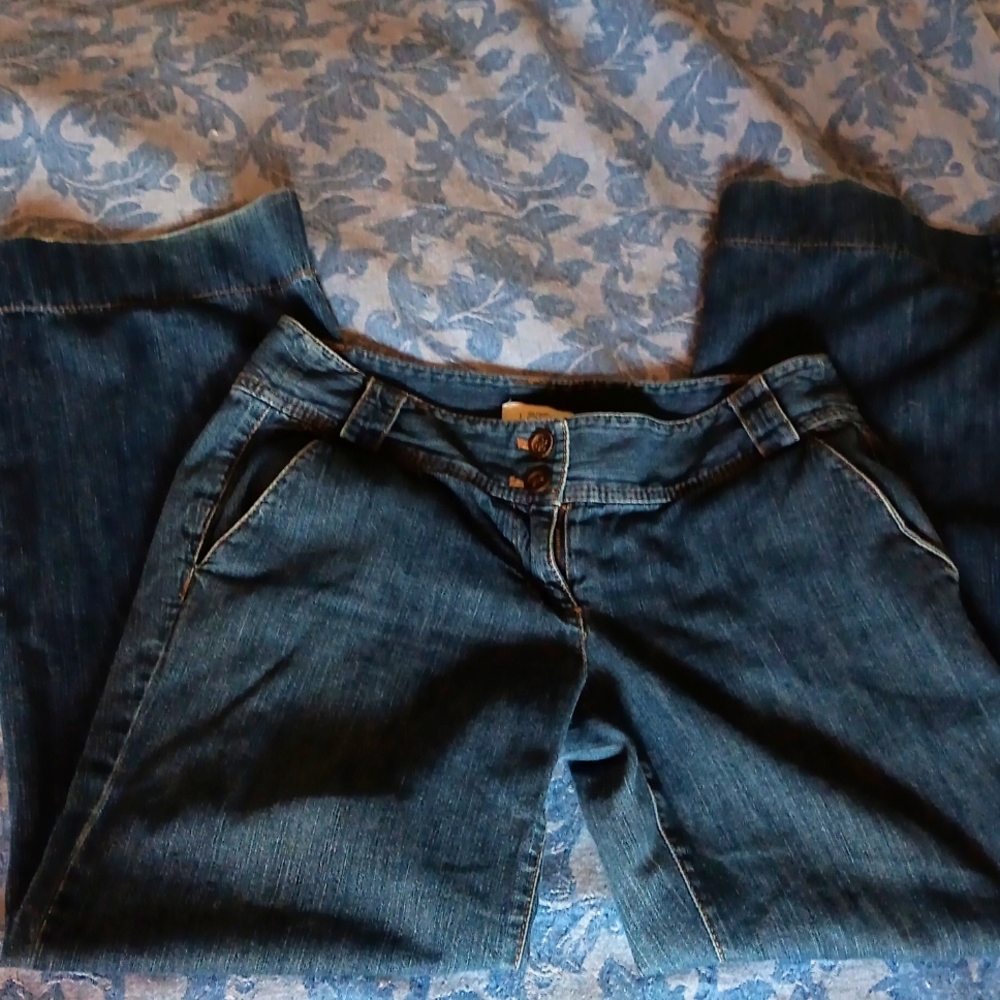 Ann Taylor Loft Jean's, Size 4